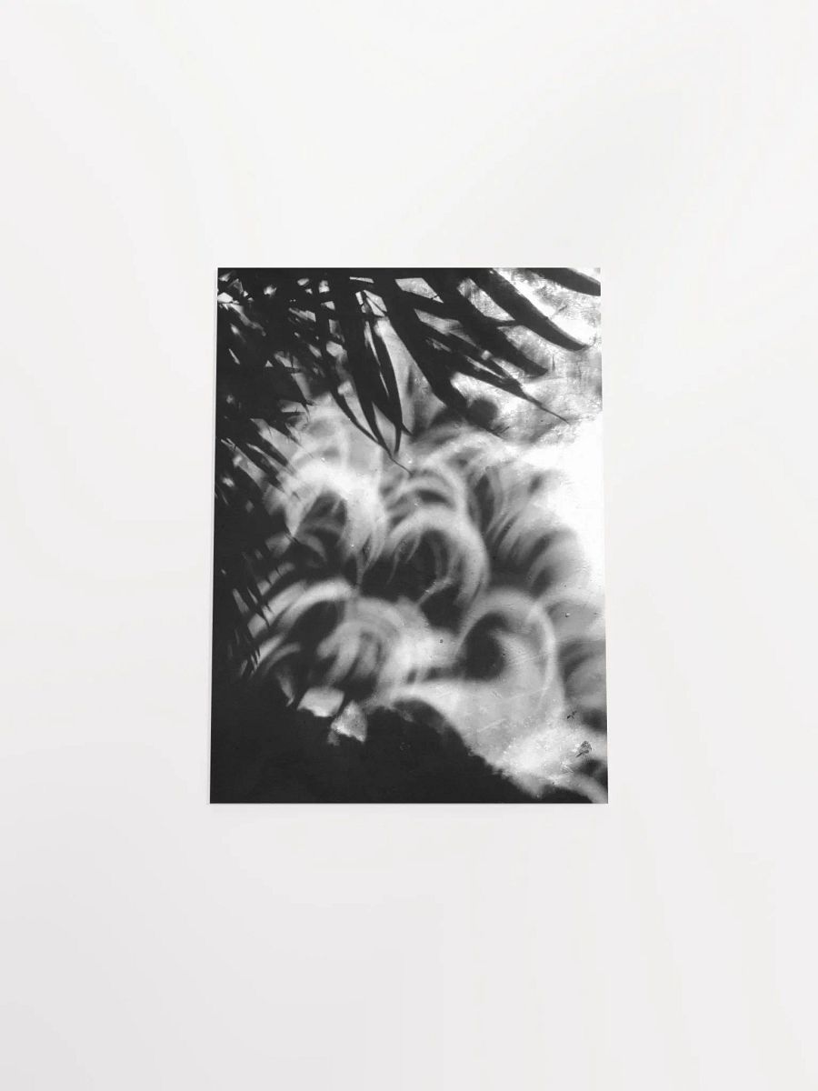 Crescents of Light from the Eclipse - Poster 3 product image (44)