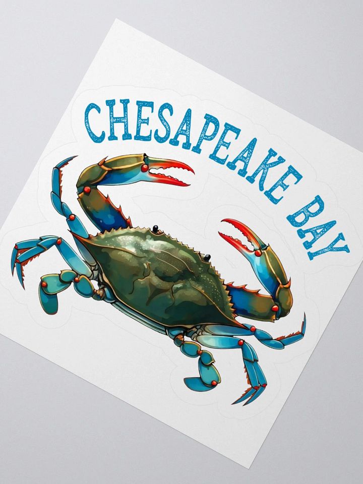 Chesapeake Bay Vintage Sticker product image (6)