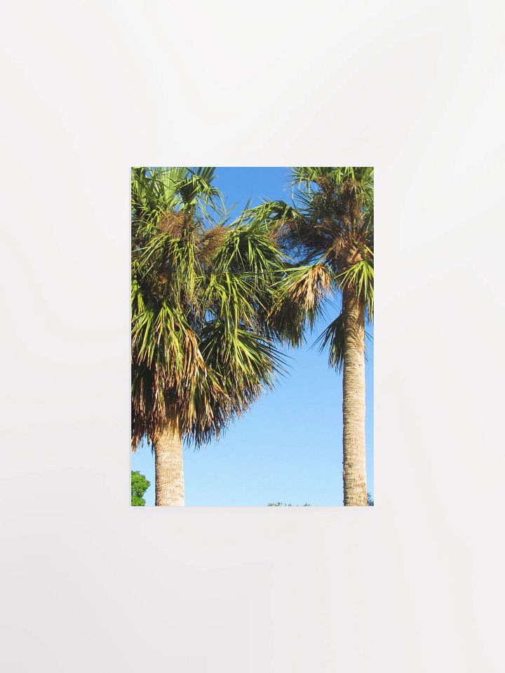 Florida Palms product image (10)