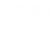 Kenig