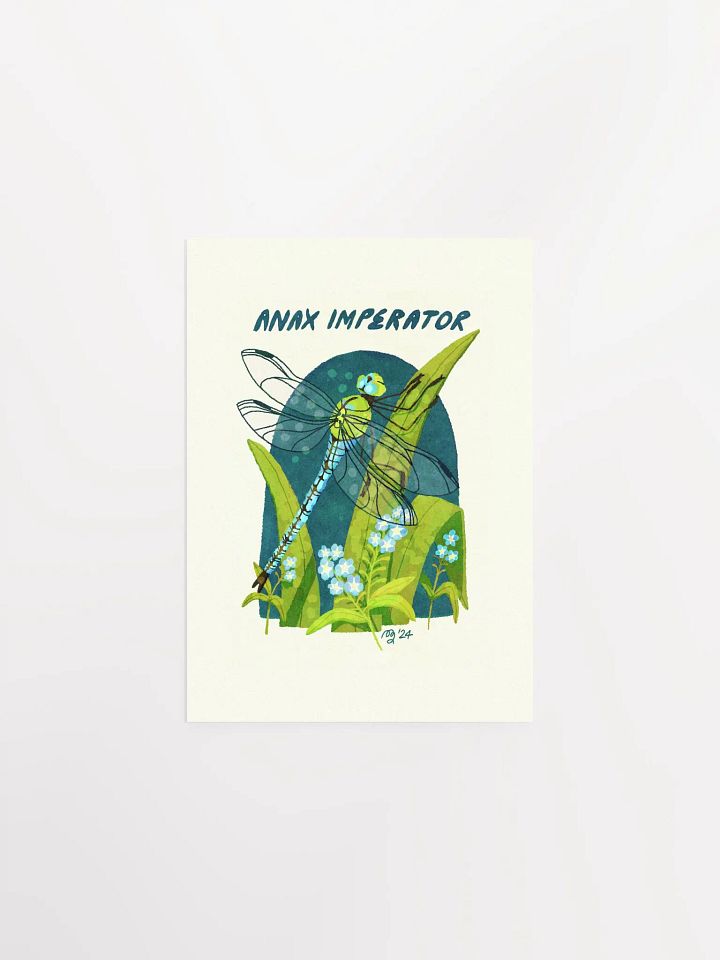 Emperor Dragonfly Print product image (1)