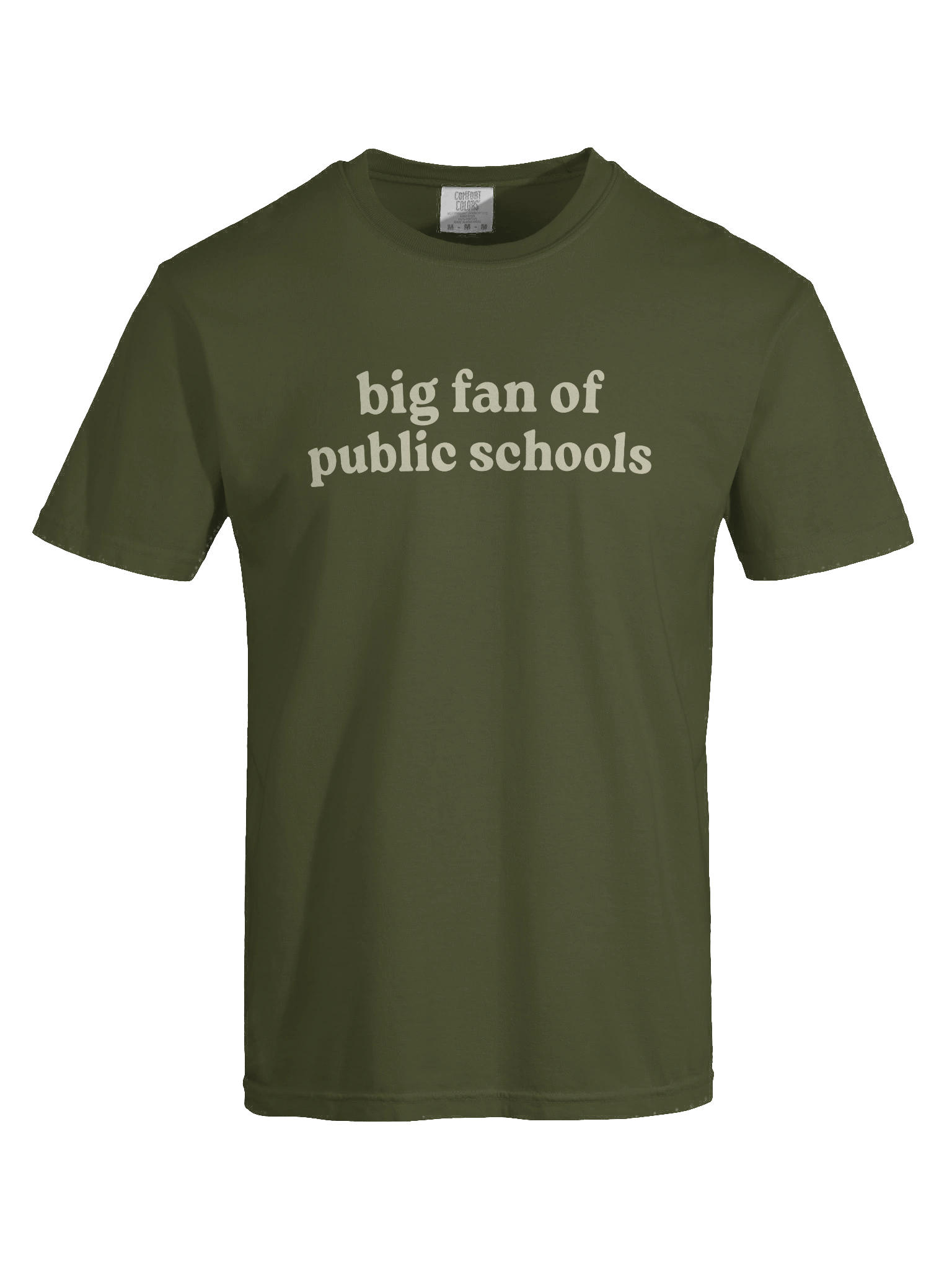 Big Fan of Public Schools Tee product image (7)