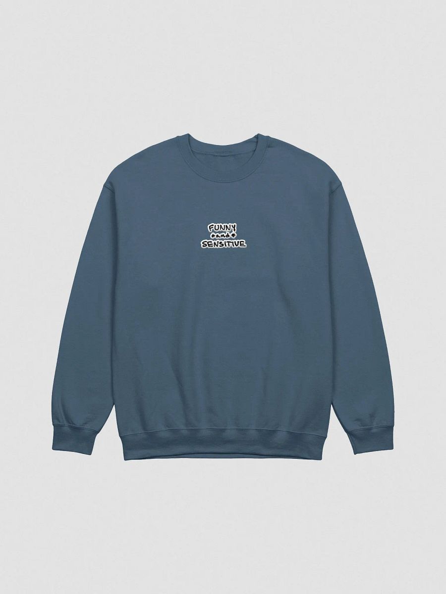FUNNY *and* SENSITIVE (bubble design) embroidered crewneck product image (5)