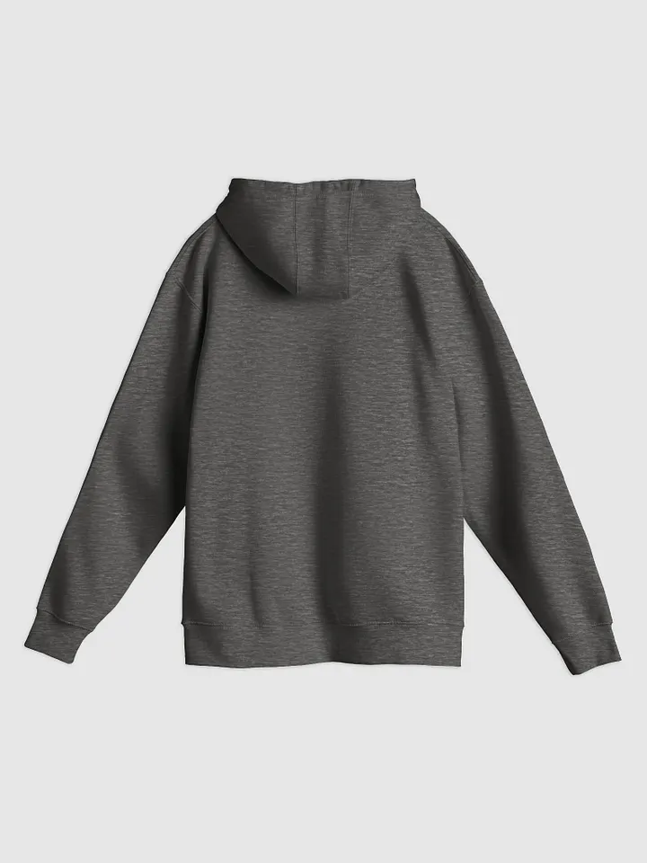 Premium Unisex Hoodie 3a product image (12)