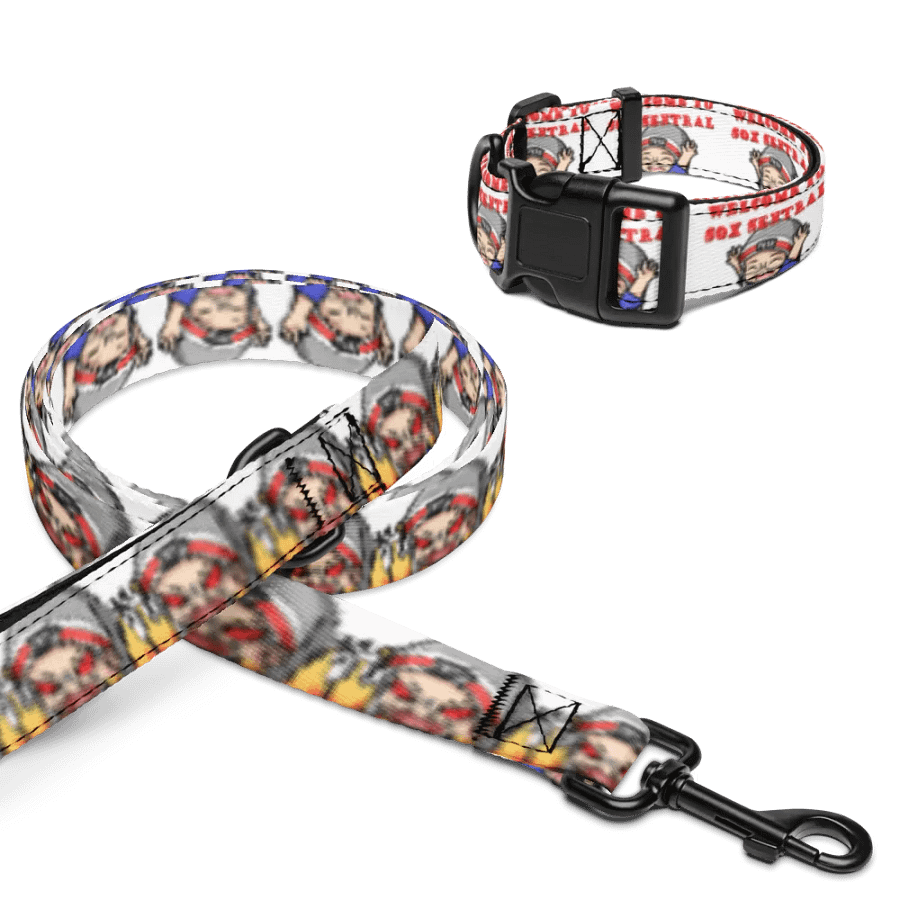 Sox Sentral Collar/Leash Combo product image (4)