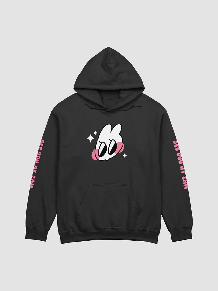 burrow gang ⟡ double-sided printed hoodie [8 colors] product image (1)