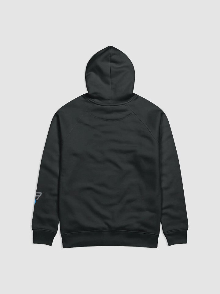 FATE Hoodie Premium (Unisex) product image (2)