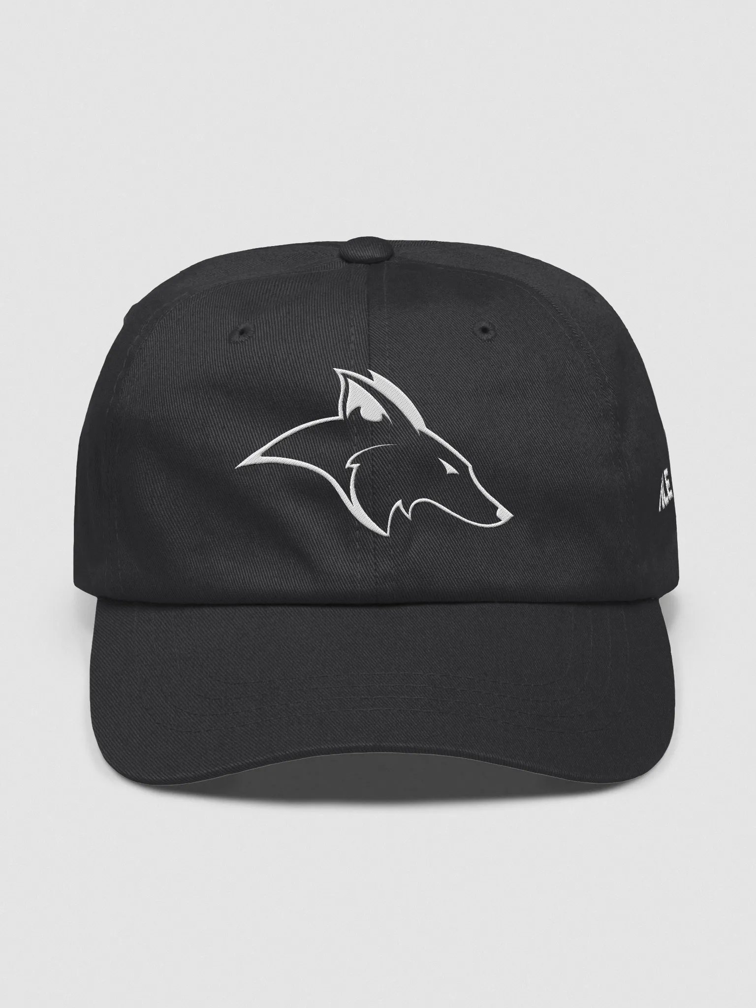 Foxes Dad Hat product image (1)