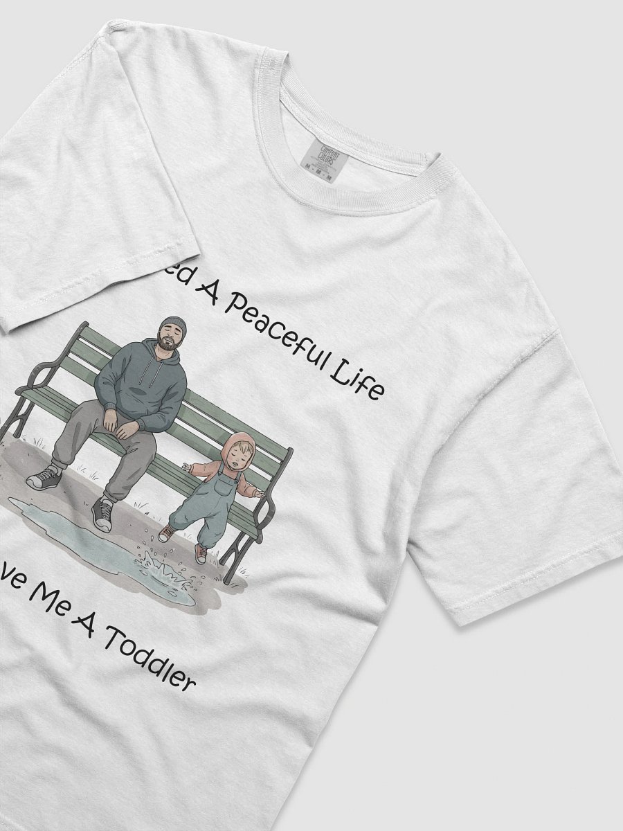 I Wanted a Peaceful Life. God Gave Me a Toddler Tee product image (5)