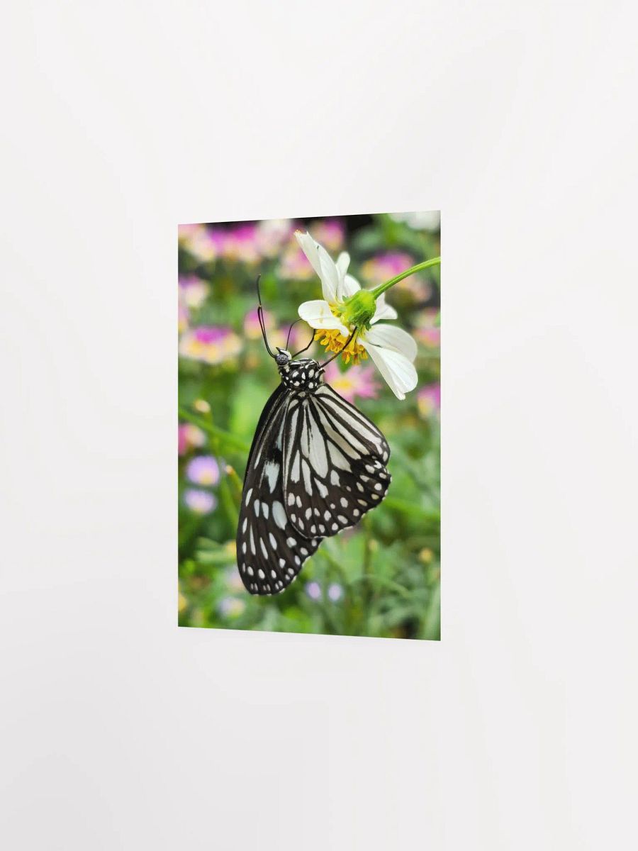Tropical Paper Kite Butterfly Matte Poster #2 5x7" product image (2)