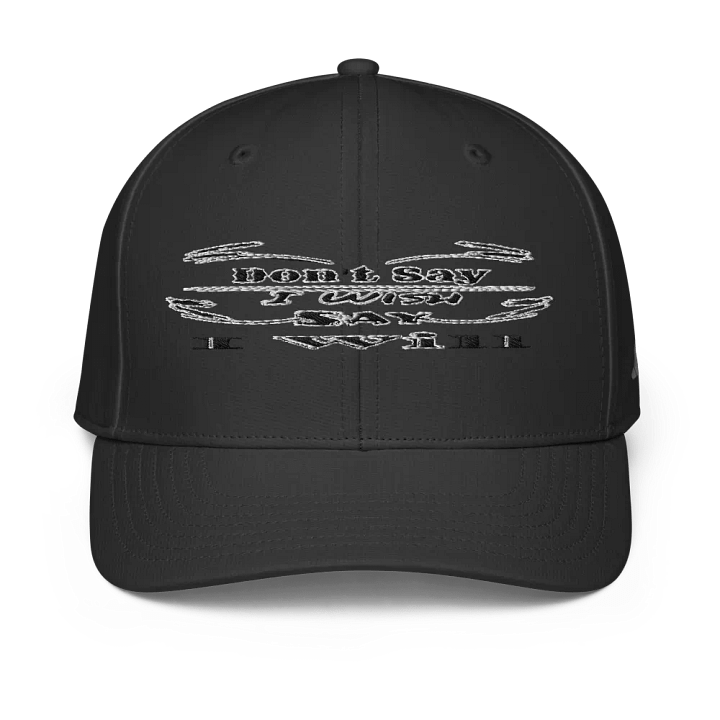Don't Say I Wish Say I Will - Embroidered - Performance Cap product image (1)