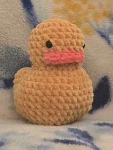Duck Pal product image (2)