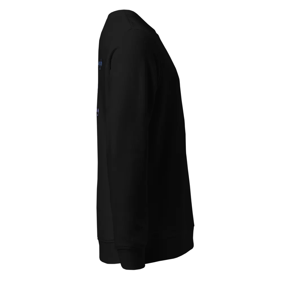 TODAYING SWEATSHIRT product image (6)