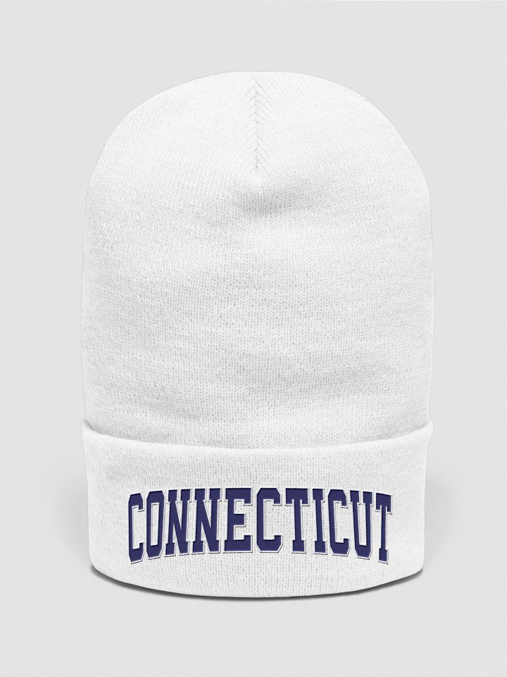 Connecticut Vintage Stylish Cuffed Beanie product image (2)