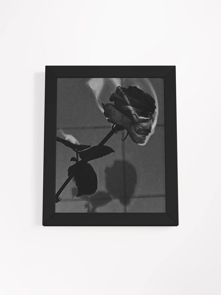 ROSE product image (1)