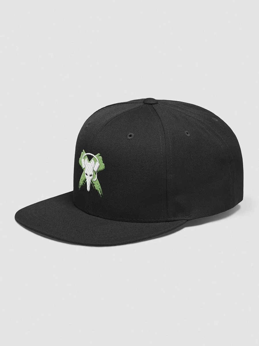 Logo Snapback Hat product image (2)