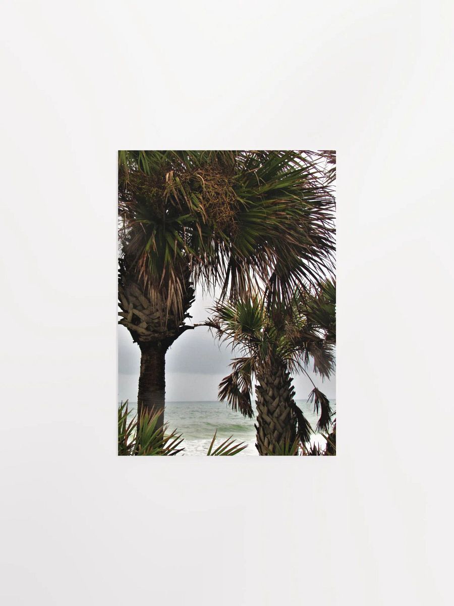 Ormond Beach 3 product image (3)