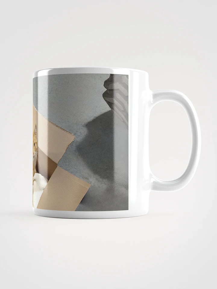 Jasper in his Box White Glossy Mug product image (1)