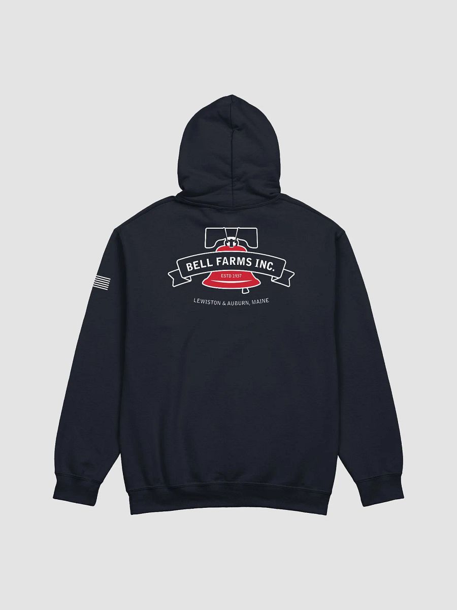 Blue Hoodie product image (2)