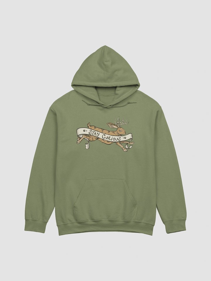 Stay Curious HOODIE product image (2)
