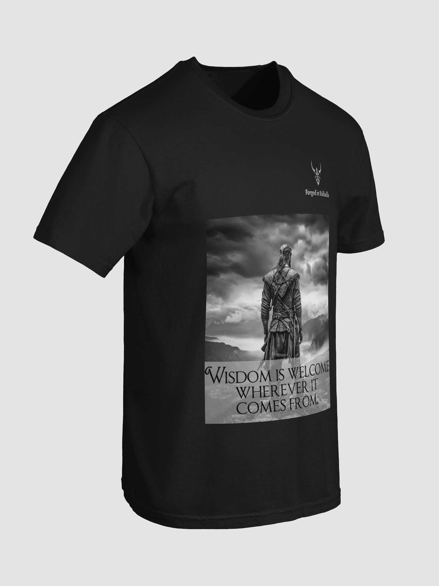 Wisdom is Welcome Men's Viking T-Shirt product image (100)
