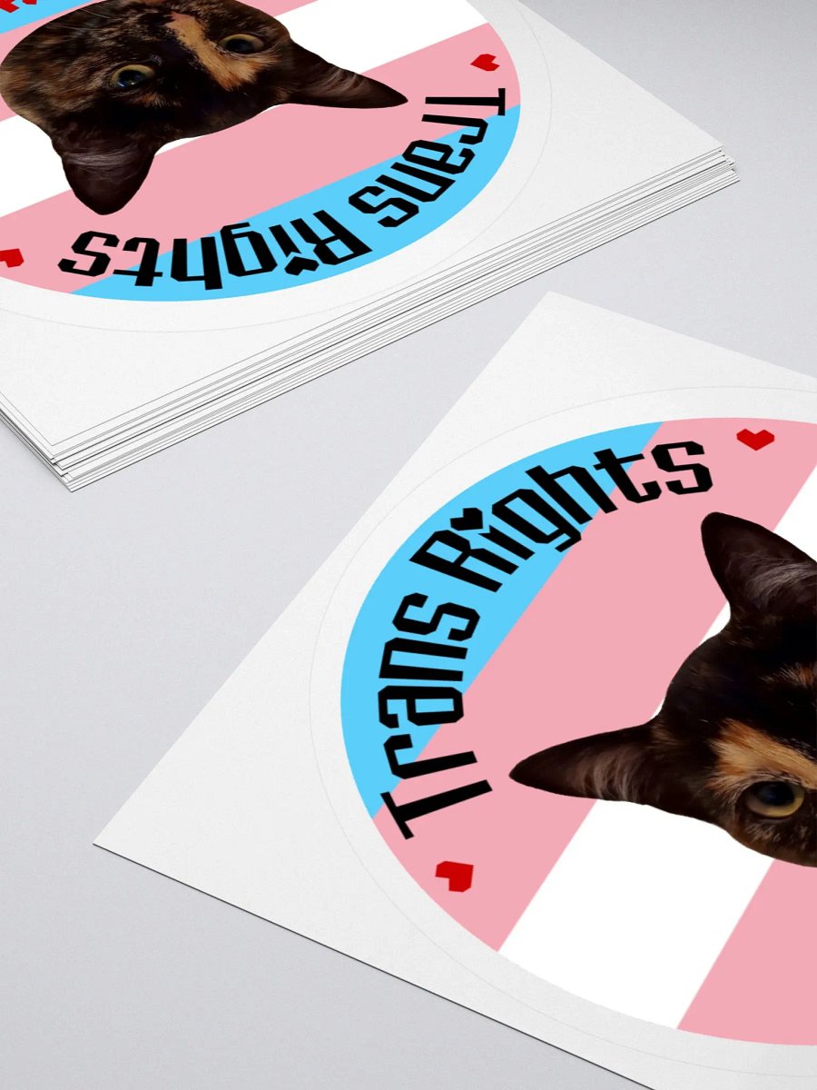 Trans Rights or I Bites Sticker product image (12)