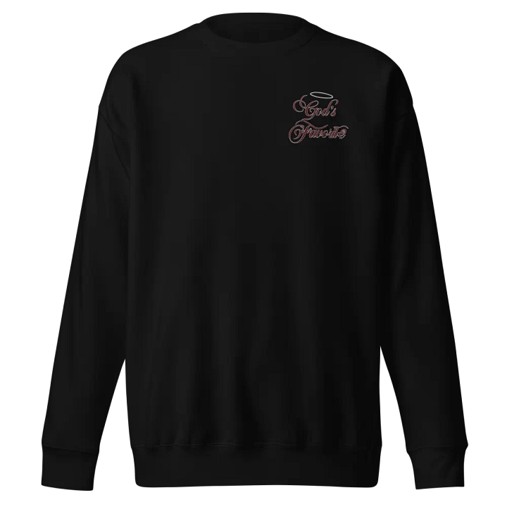 Embroidered Sweatshirt (no wings) - God's Favorite product image (1)