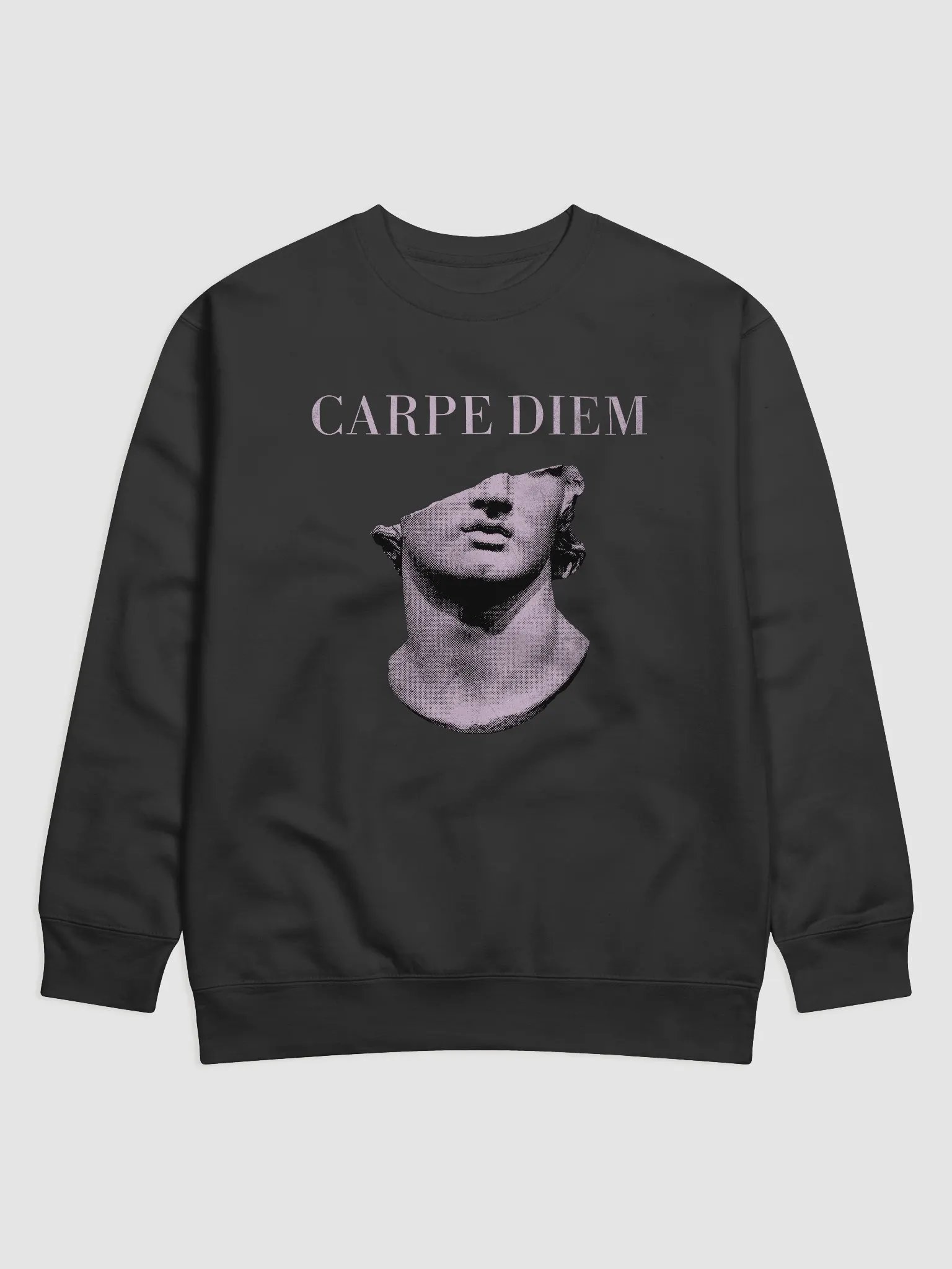 Carpe Diem Statue Sweatshirt product image (1)