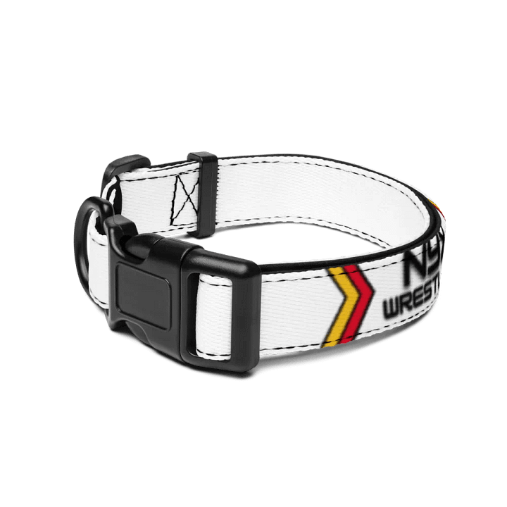NYX WRESTLING DOG COLLAR product image (1)