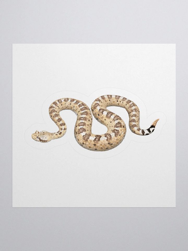 Die-Cut Sticker – Sonoran Sidewinder product image (1)