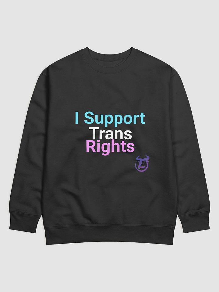 I Support Trans Rights Sweatshirt product image (4)