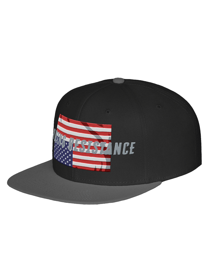 Redding Resistance Embroidered Hat product image (11)