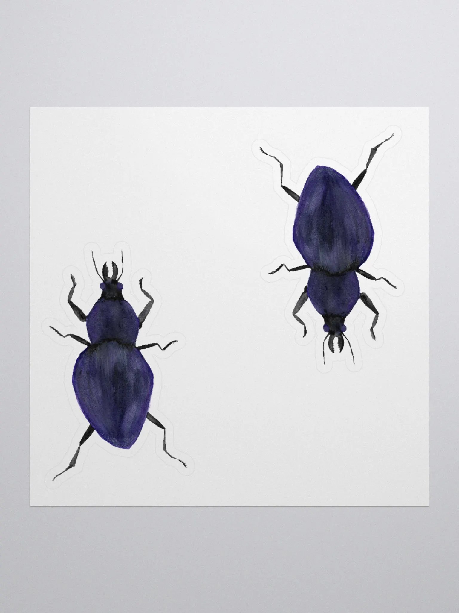 Rough Violet Ground Beetle Sticker (x2) product image (1)