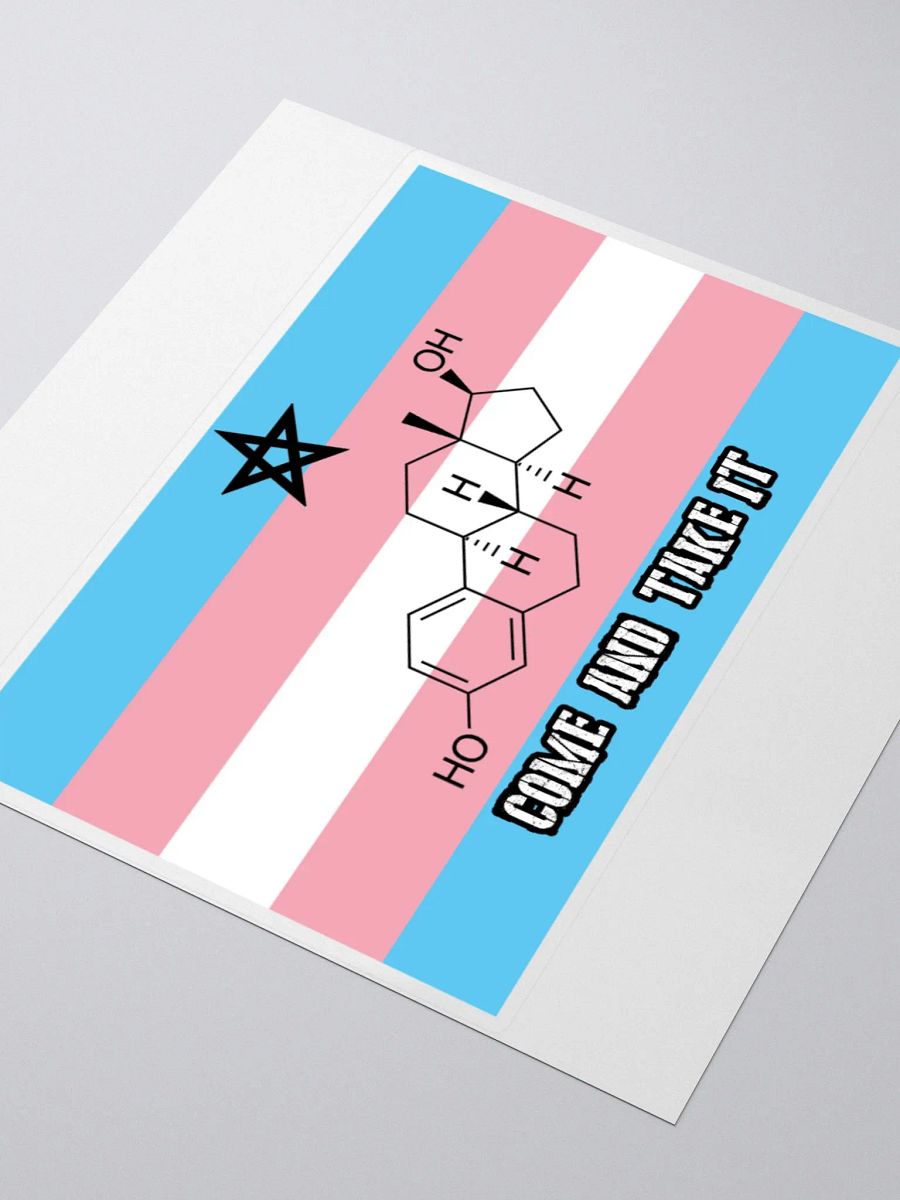 Come and Take It (sticker edition) product image (3)