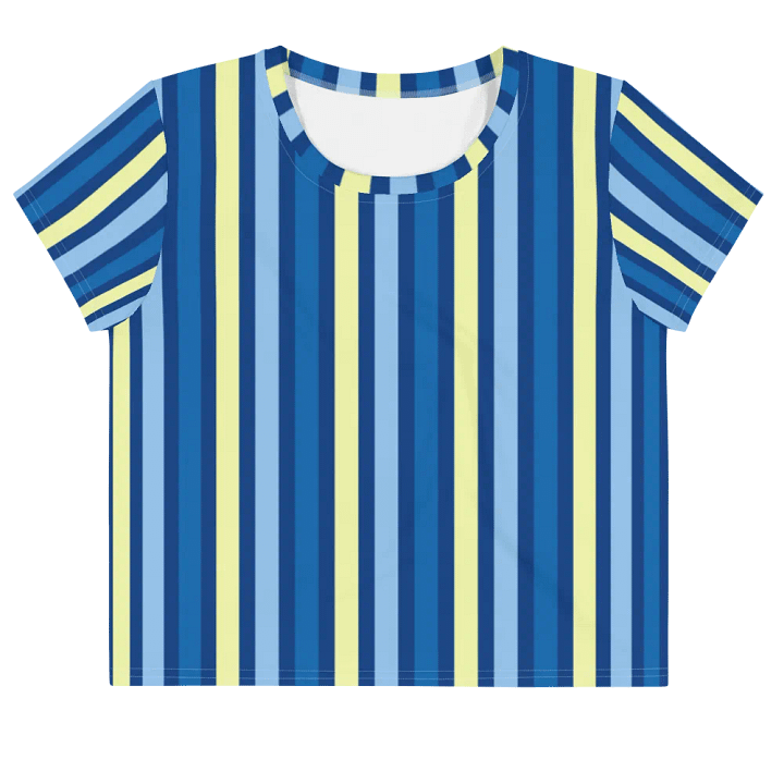 Blue Stripe Crop Top product image (1)