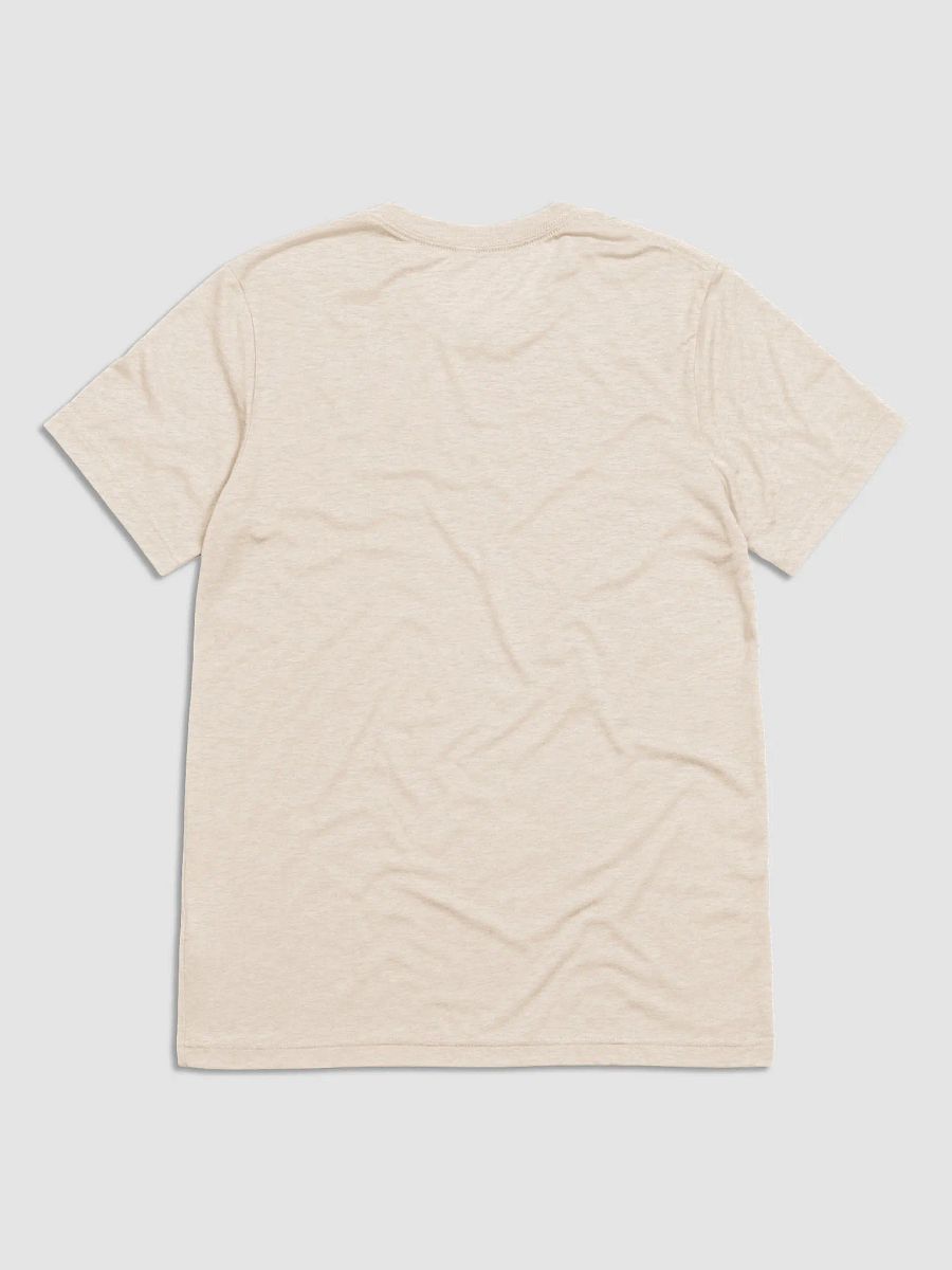Y'all Need Epicurus LIGHT (Bella+Canvas Triblend Short Sleeve T-Shirt) product image (14)