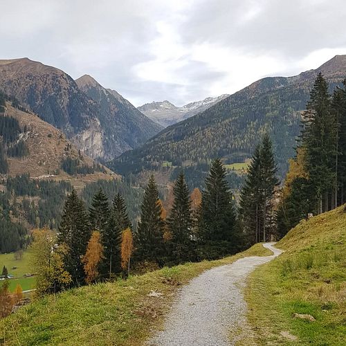 Austrian mountains

#mountains #hiking #forest #pine #hikingadventures #austria #salzburg #travel #travelphotography #nature ...