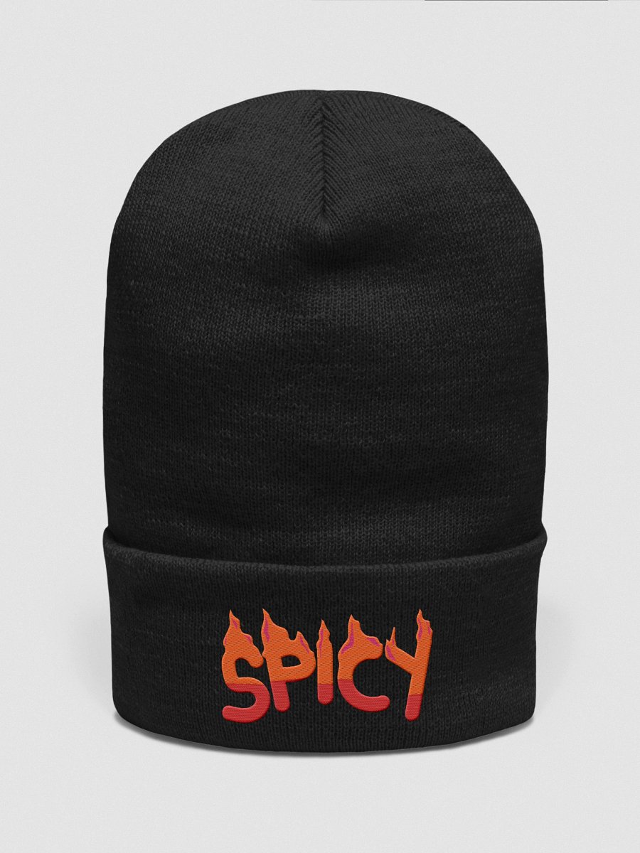 Fiery Spice Cuffed Beanie product image (1)