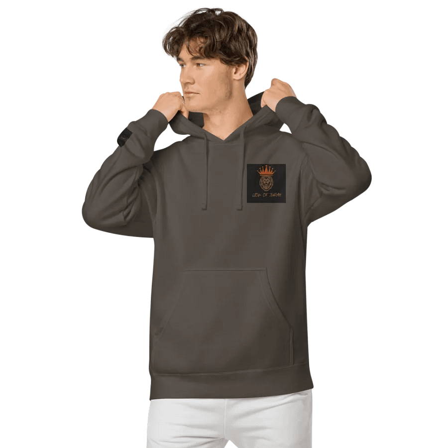 Crowned Lion of Judah Hoodie product image (8)