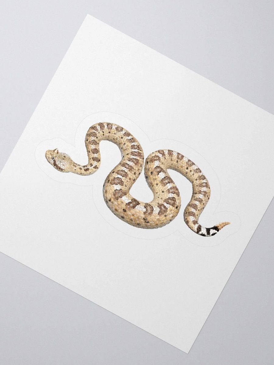 Die-Cut Sticker – Sonoran Sidewinder product image (2)