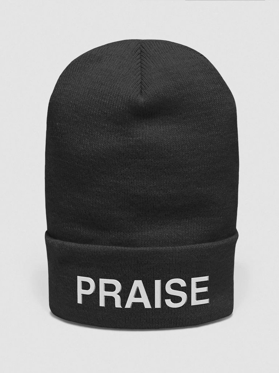 PRAISE Beanie product image (2)