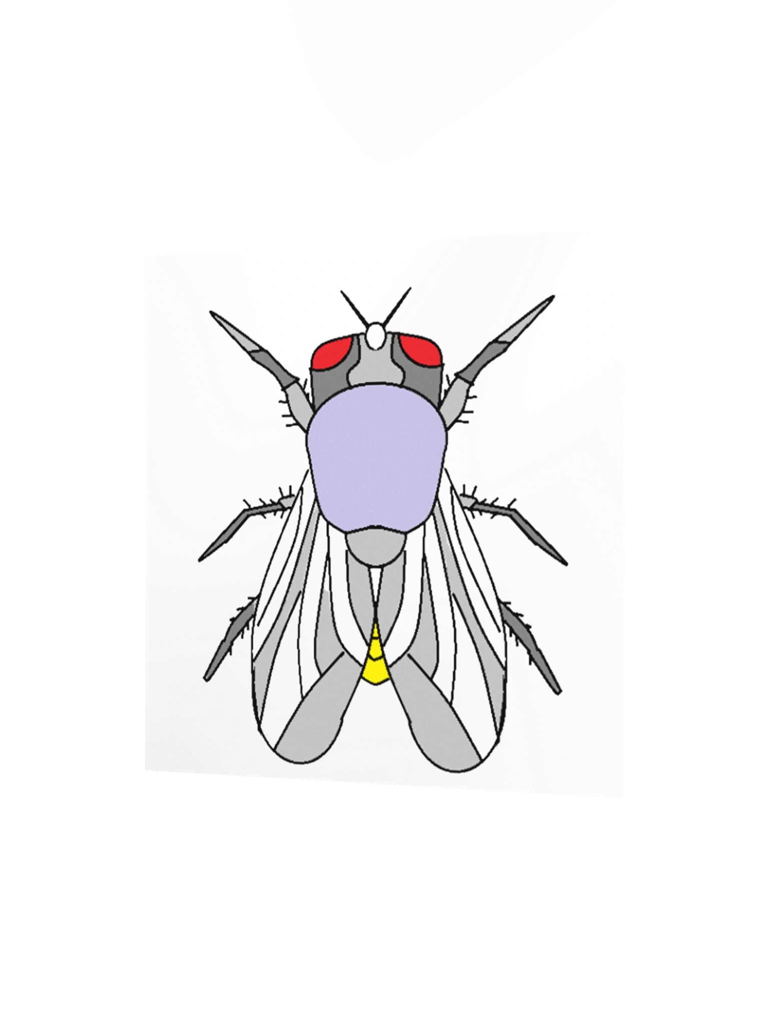 Vibrant Fly Cartoon Matte Poster product image (8)