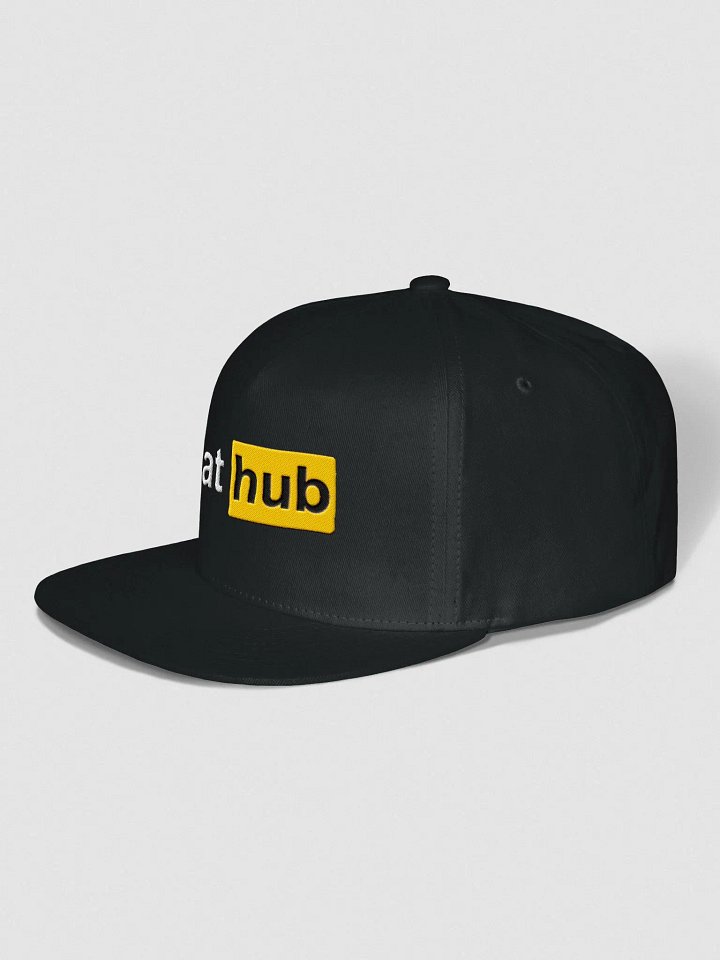 PlatHub Snapback product image (6)