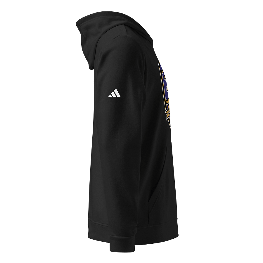 RAVENS - 30th Season Adidas Hoodie product image (4)