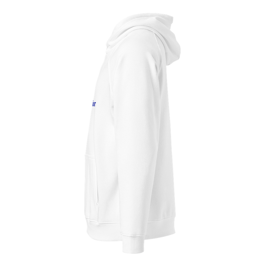 Pencil Warrior Eco Raglan Hoodie product image (2)