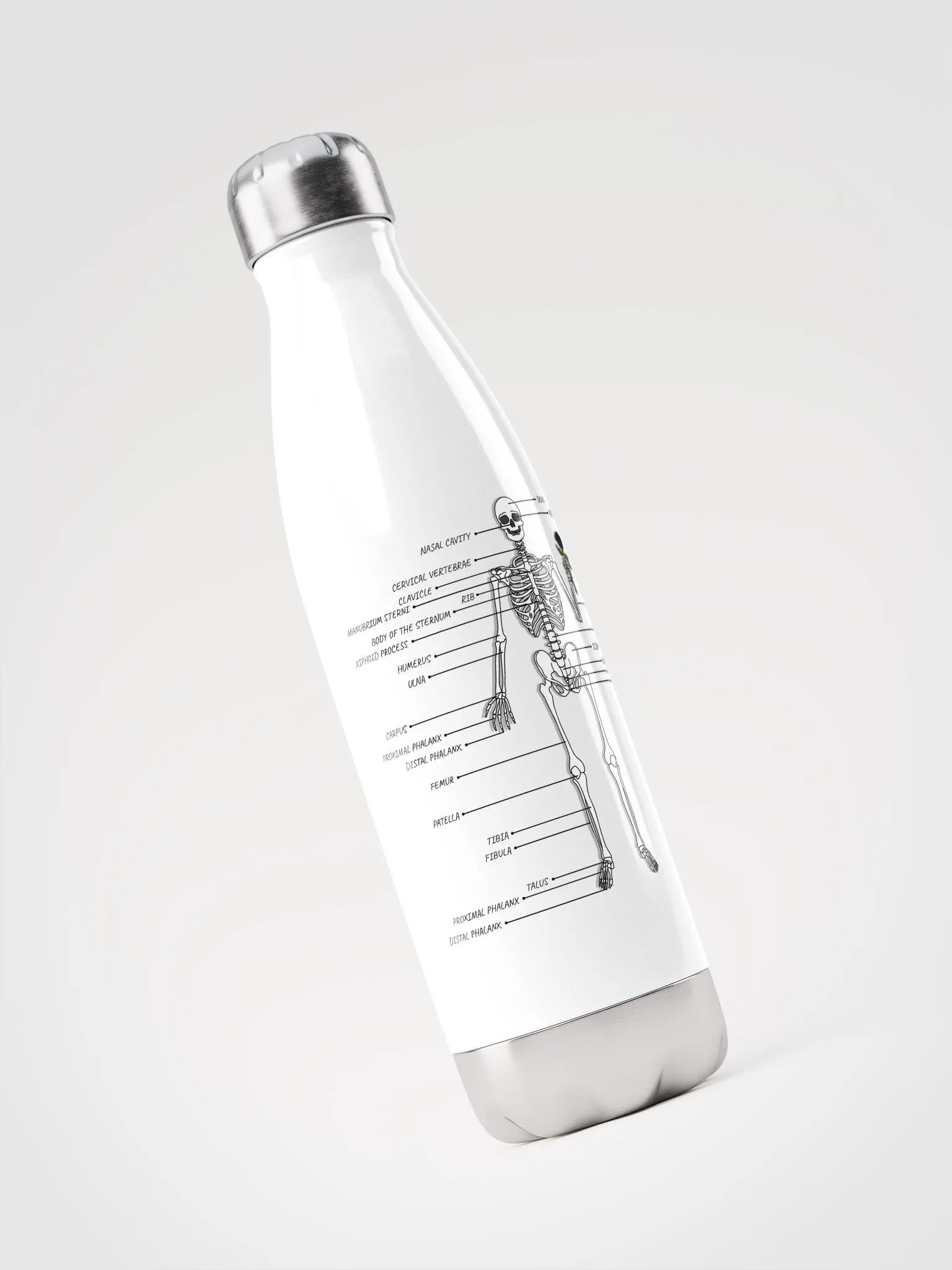 Hello and Welcome Bottle product image (3)