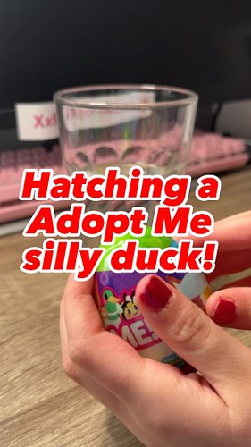 Hatching a Adopt Me silly duck IRL! 🦆 Do you have a silly duck in Adopt Me? #roblox #robloxadoptme #adoptmeroblox #adoptmepet...