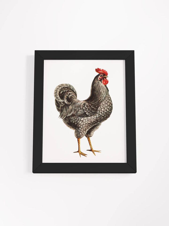 'Elegant Rooster' Framed Matte Poster product image (1)
