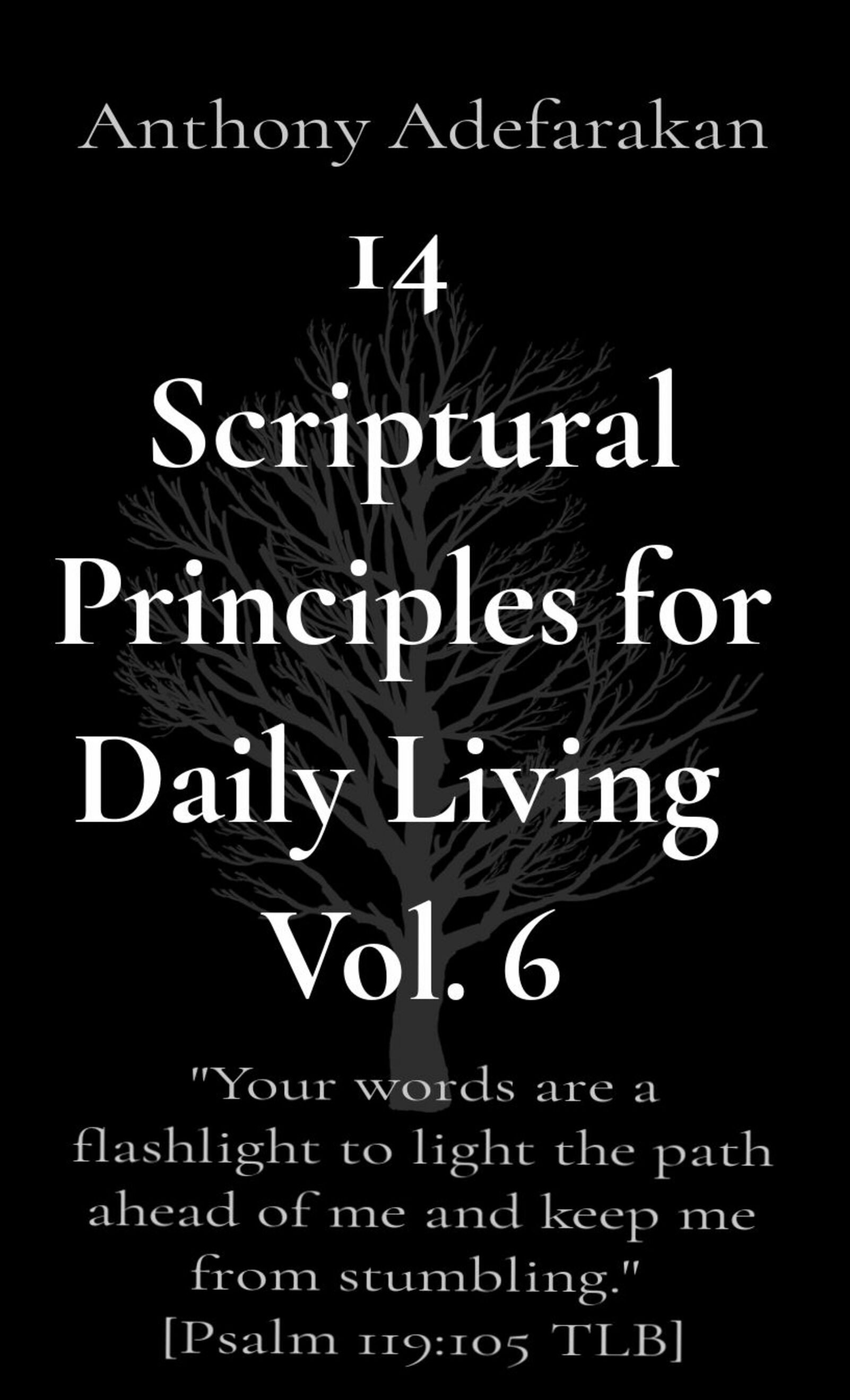 14 Scriptural Principles for Daily Living - Vol. 6 _ Ebook product image (1)