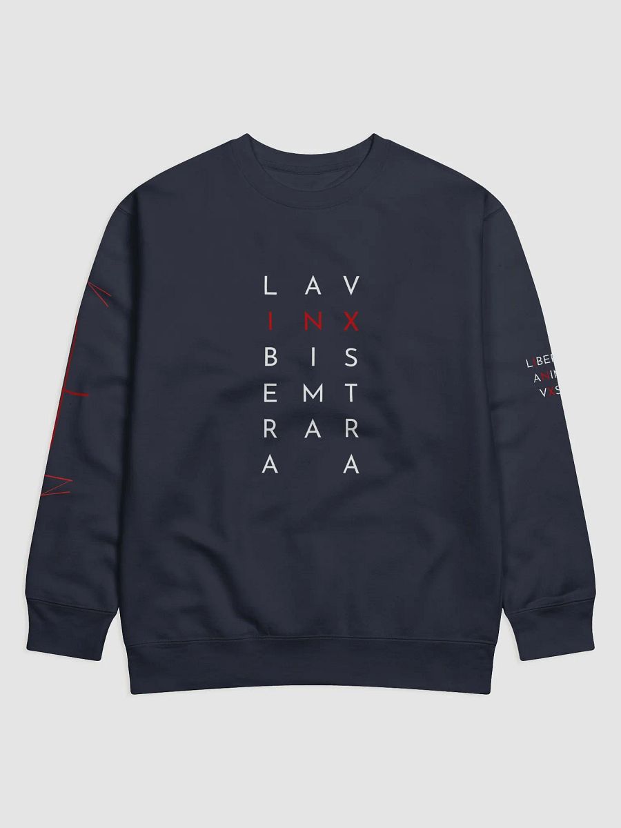 InX Sweater product image (3)